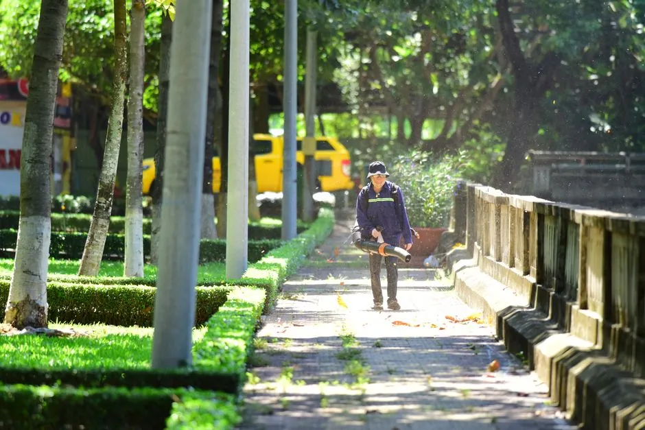 Jardin remis en état avant mise en vente